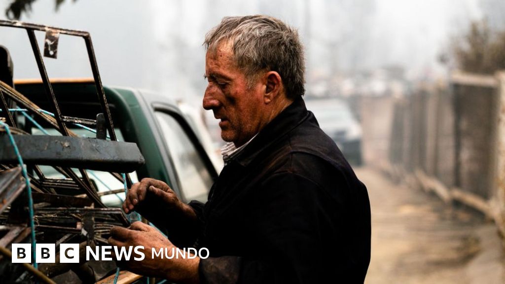 Por qué los incendios en Chile están siendo los más destructivos de los últimos años