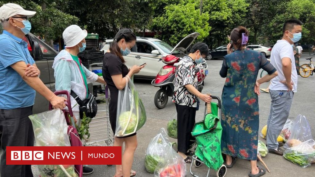 Por qué está en peligro tu taza de café? - BBC News Mundo