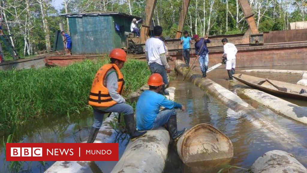 Tala ilegal en la Amazonía: la dura advertencia a Perú por los 