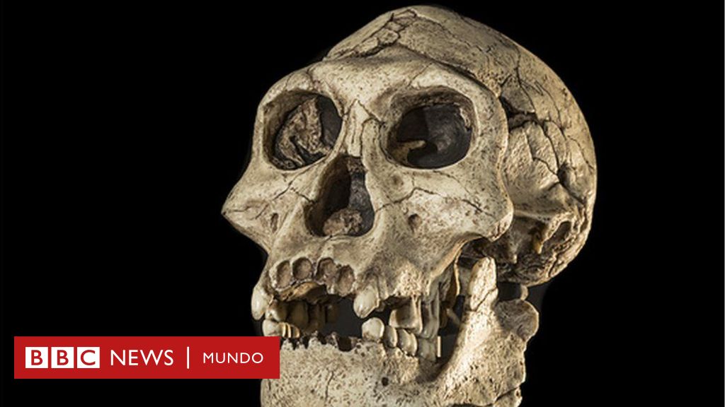 El desconocido enfriamiento glacial que expulsó a los humanos de Europa durante 200.000 años (y cómo se adaptaron para regresar)