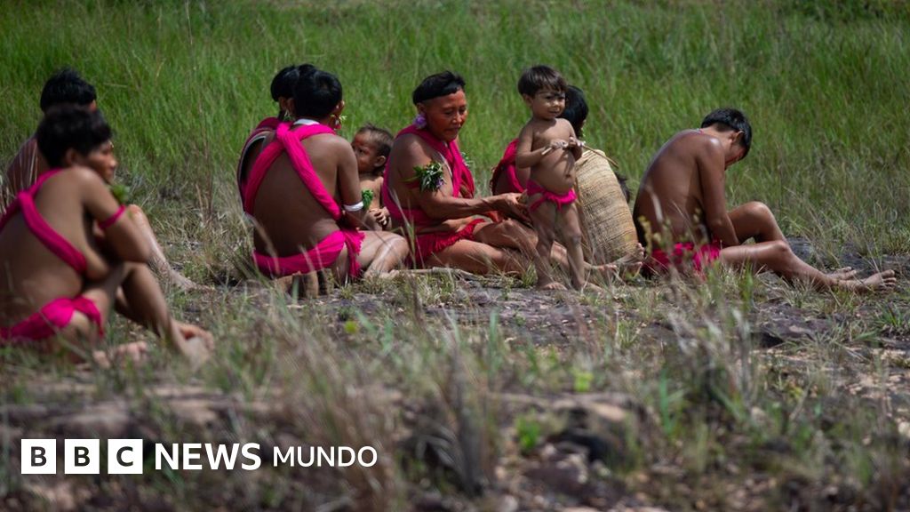 Por qué investigan al gobierno de Bolsonaro por un posible genocidio contra los yanomamis