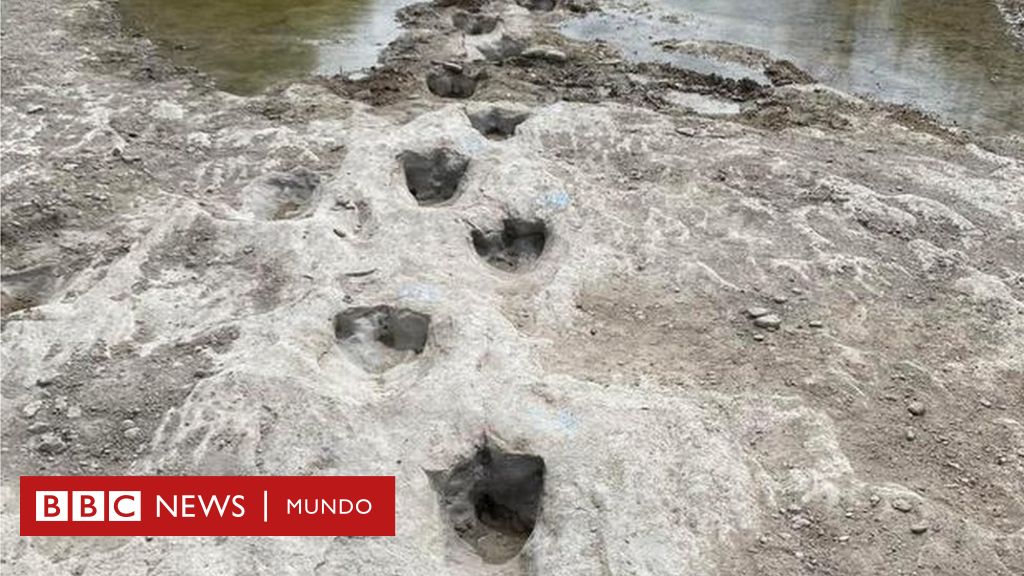 El Asombroso Hallazgo De Las Huellas De Un Dinosaurio Que Quedaron Expuestas Por La Sequía En 1339