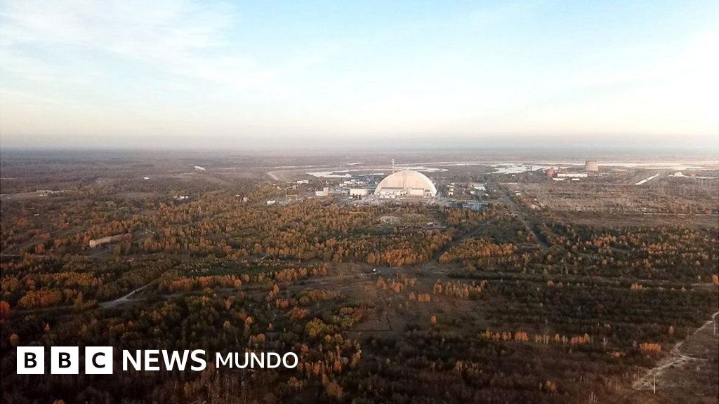Chernóbil cómo es el "bosque rojo", uno de los lugares
