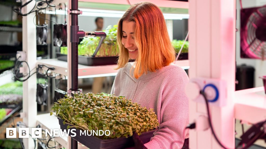 En qué consiste la "cuarta revolución" que pretende transformar la producción de alimentos