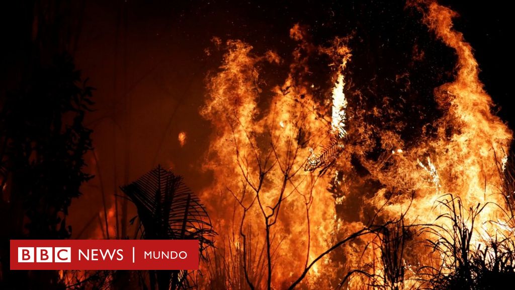 Incendio en el Amazonas: por qué Noruega donó US$1.200 millones a Brasil durante 10 años y dejó de hacerlo justo antes