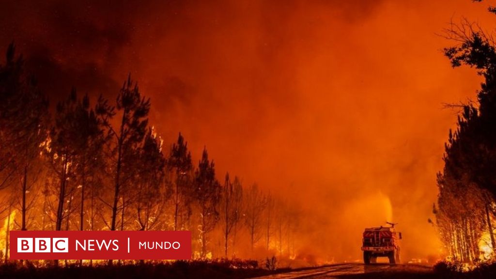 O “monstruoso” incêndio florestal que está devastando o sudoeste da França