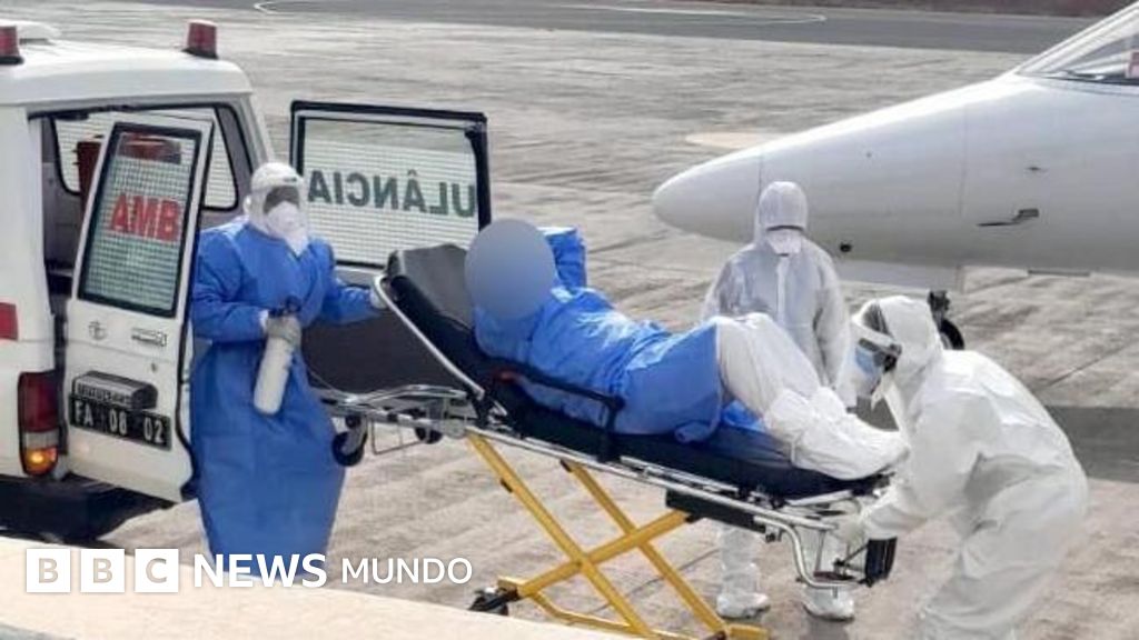 Hantavirus Andean Strain Found in Deadly Cruise Ship Outbreak — image 1
