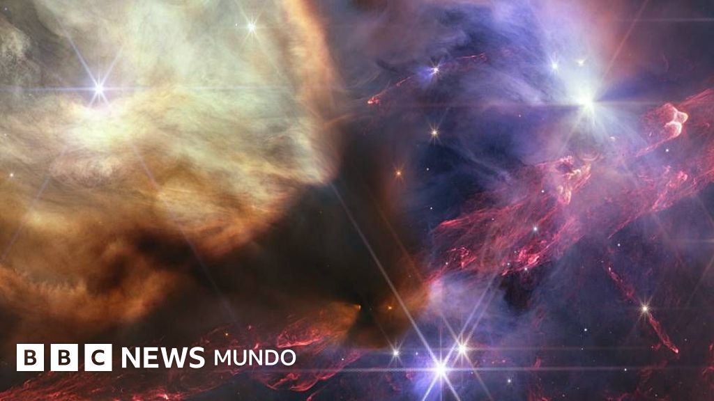 Las mejores imágenes científicas de 2023 según la revista Nature