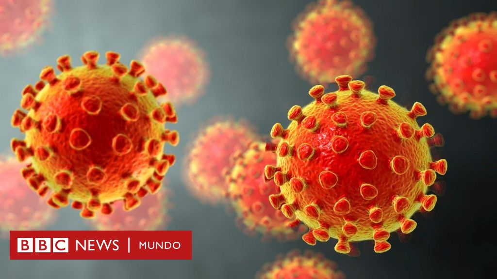 Coronavirus Qu Se Sabe De Las Mutaciones Del Virus Del Covid Y