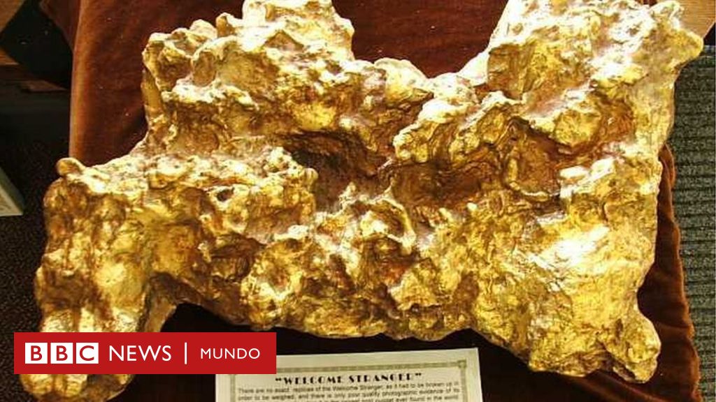 obtener recurso renovable A bordo La historia de “Welcome Stranger”, la pepita de oro más grande del mundo  que fue encontrada hace 150 años - BBC News Mundo