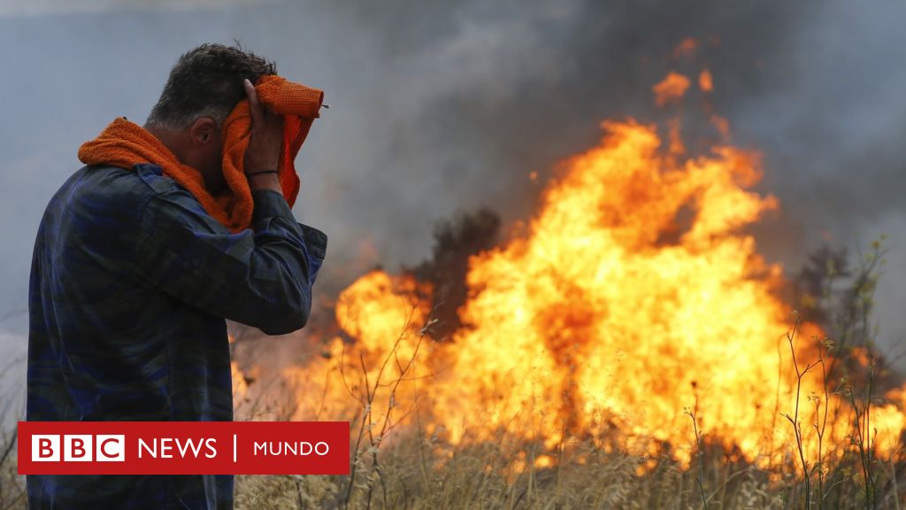 Grecia Las Impactantes Im Genes De Los Incendios Que Han Causado La