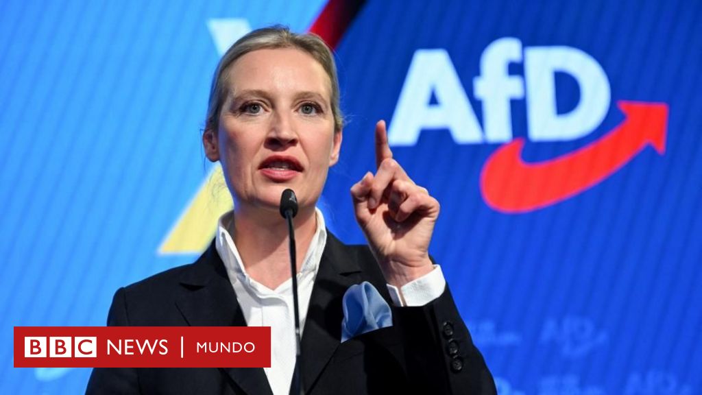"Incompatible con la democracia": por qué la inteligencia de Alemania clasificó como grupo extremista a AfD, el segundo partido más votado del país