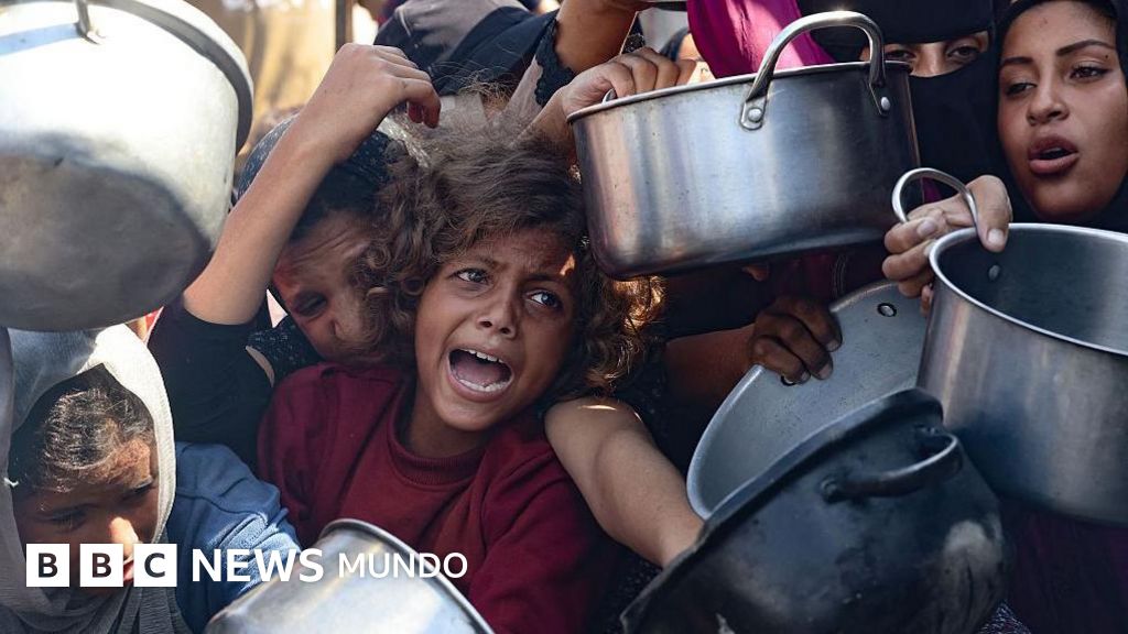 La hambruna en Gaza se profundiza: entre el colapso humanitario y la guerra inminente
