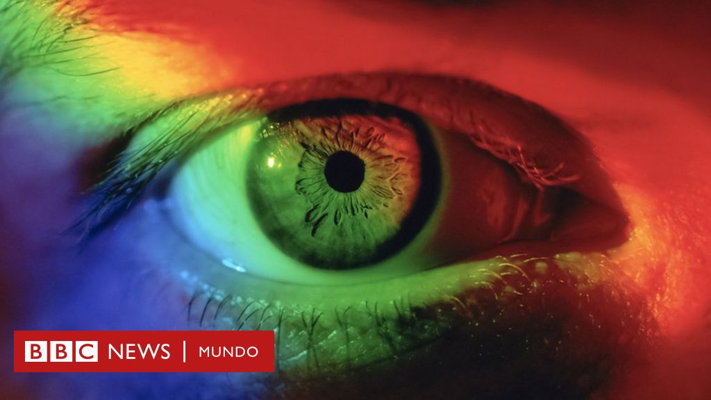 Cómo ven las personas daltónicas? Las apps que te permiten mirar el mundo  como si tuvieras ceguera al color - BBC News Mundo