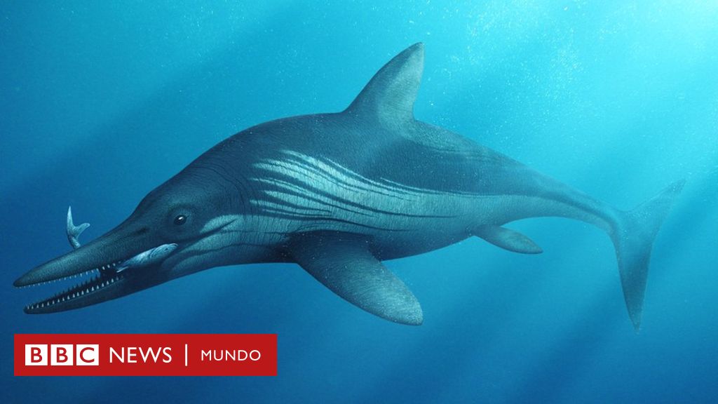 Animales marinos gigantes de la prehistoria +Video