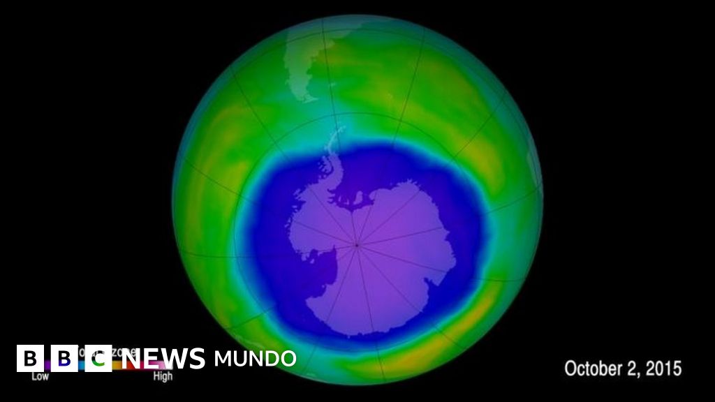 Duas Consequencias Da Destruição Da Camada De Ozonio