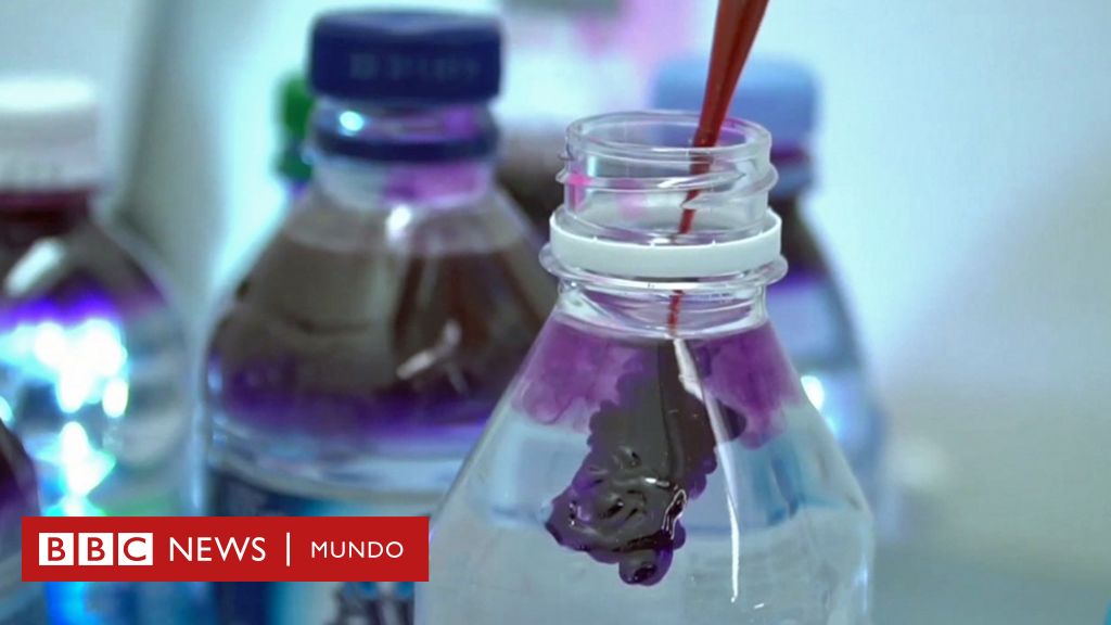 El peligro desconocido de las botellas de agua de plástico: la alerta de  los científicos