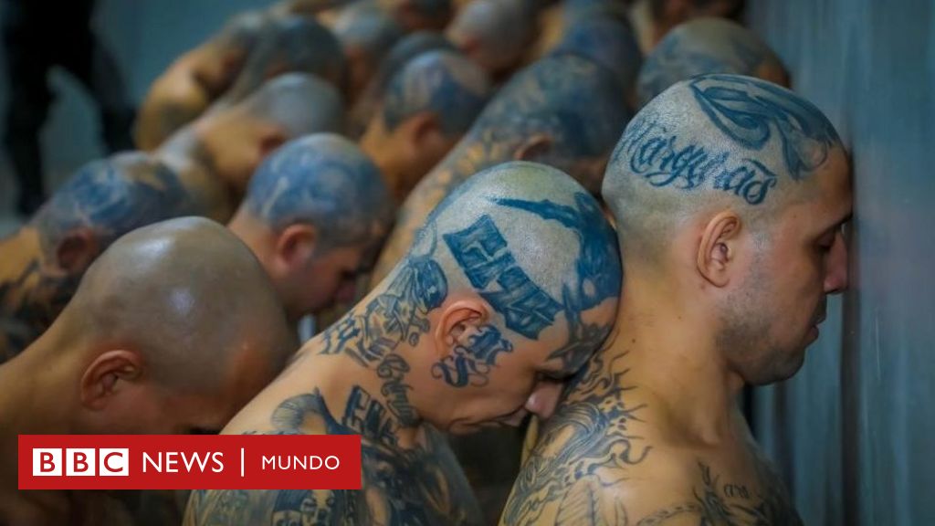 Las Imágenes De Los Primeros Miles De Presos Que Llegaron A La Megacárcel De El Salvador Bbc 8734