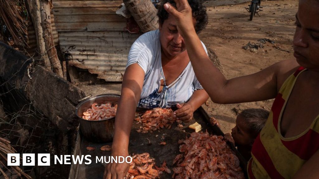 Economía de Venezuela: cómo la industria camaronera está transformando el Lago de Maracaibo, el mayor símbolo de la bonanza petrolera del país