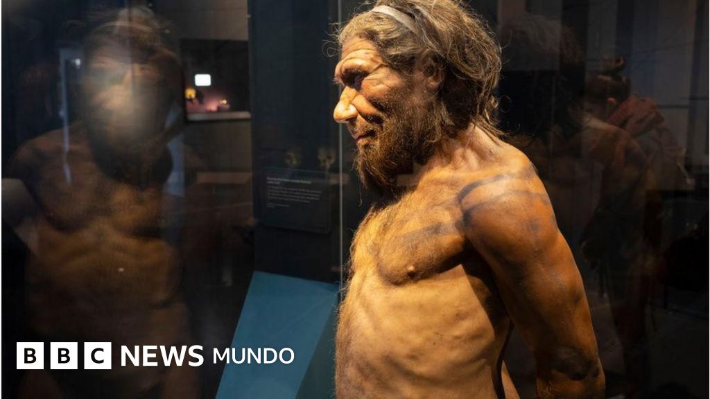 Fin de los neandertales: la investigación que busca descifrar qué acabó con nuestros ancestros lejanos