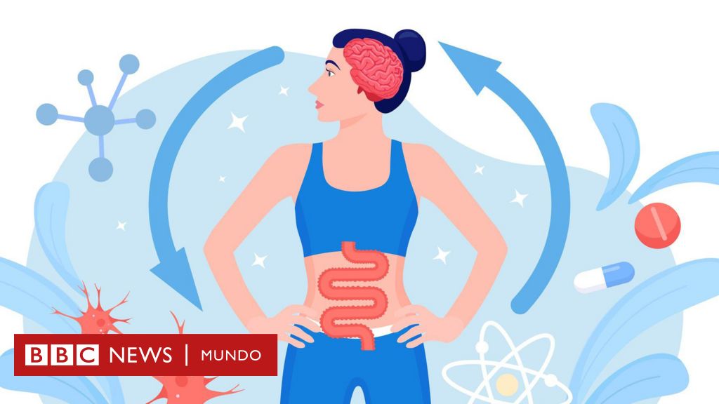 Cómo se complementan el intestino y el cerebro y por qué es tan importante esa conexión para nuestro bienestar