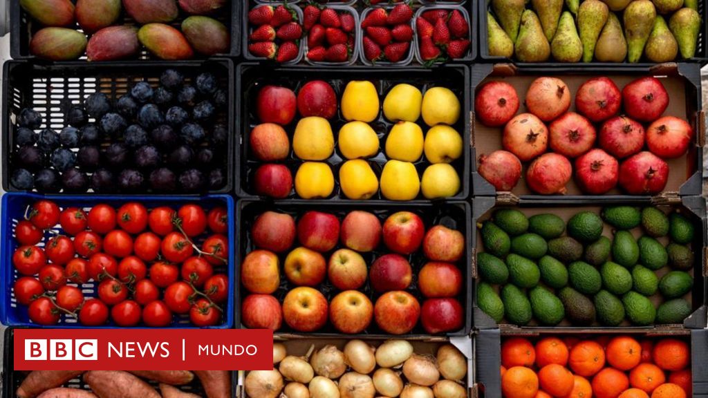 Por qué cuando aumentamos mucho de peso la comida nos parece menos sabrosa  - BBC News Mundo