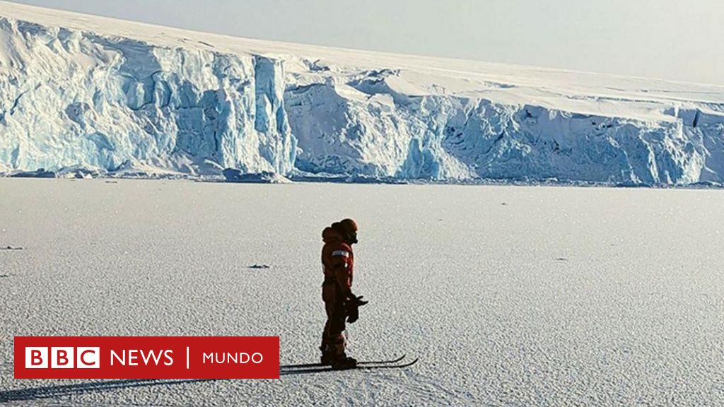 El “alucinante” cambio en la Antártida que preocupa a los expertos