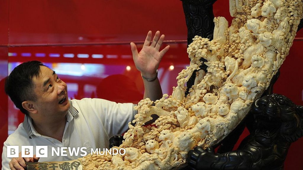 Cuantas Temporadas Tiene La Fiebre Del Oro
