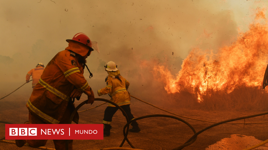“Estamos ante un enorme experimento”: los impactos menos conocidos de los incendios (y cómo pueden cambiar el clima a largo plazo)