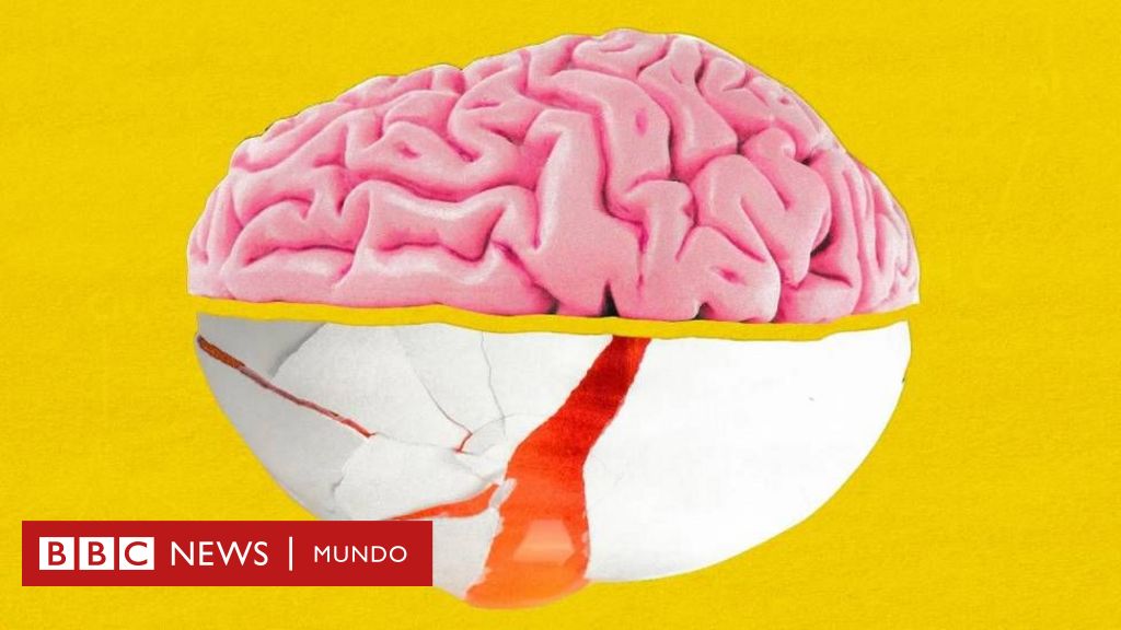 La colina: el nutriente esencial para un cerebro sano
