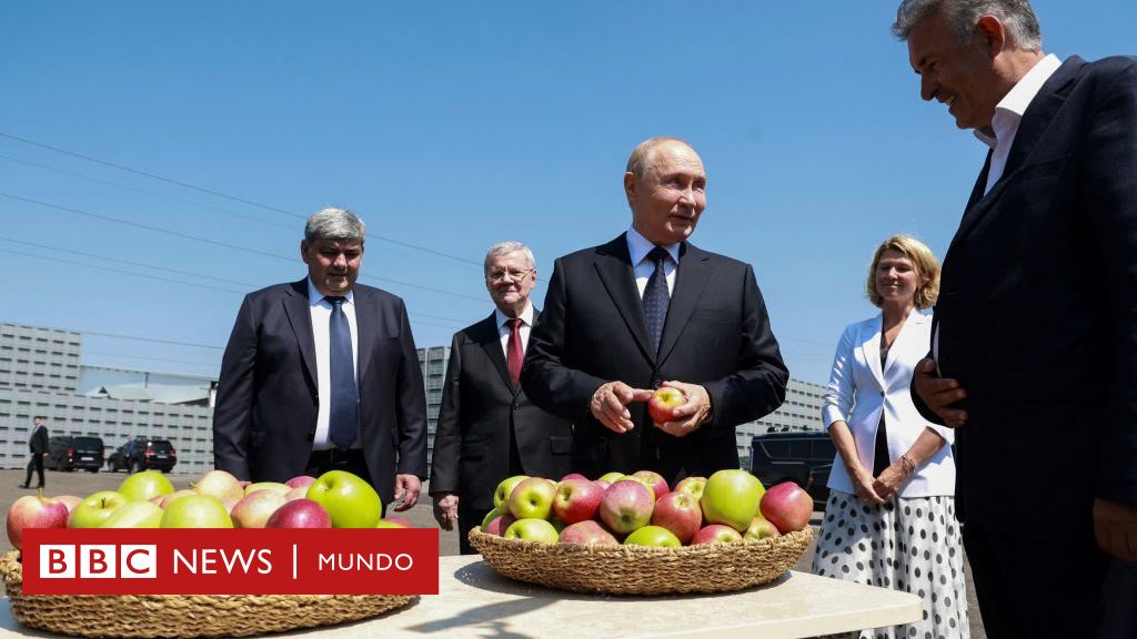 Garbanzos a cambio de papas: las empresas de Rusia que vuelven a usar el trueque para esquivar las sanciones por la guerra de Ucrania