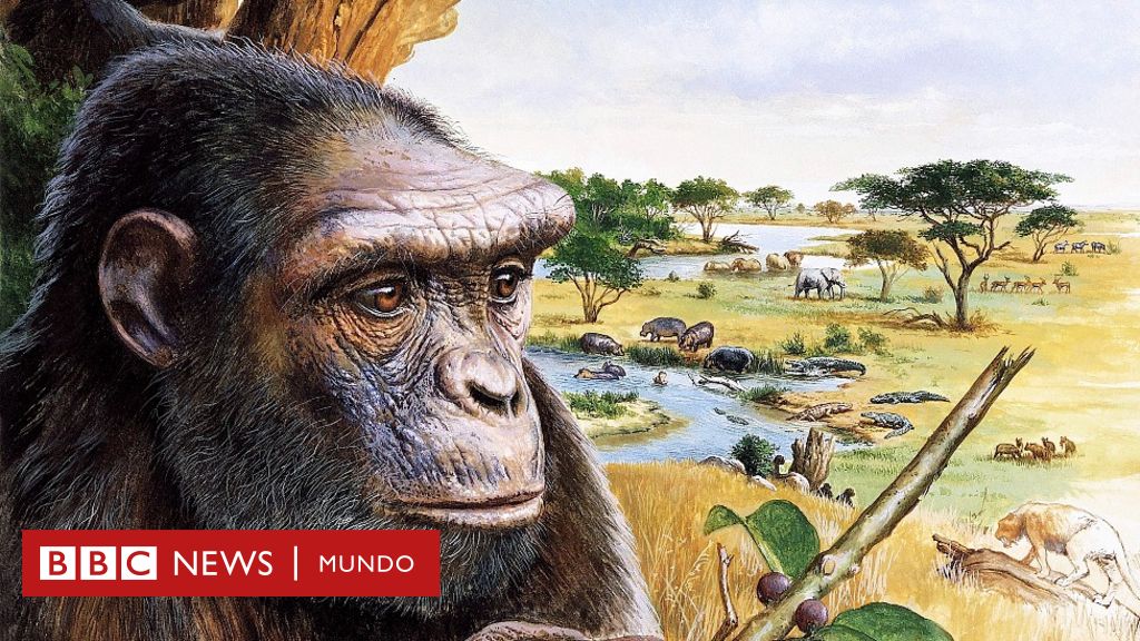 Nuestro ancestro más antiguo caminó erguido hace 7 millones de años, según un nuevo estudio