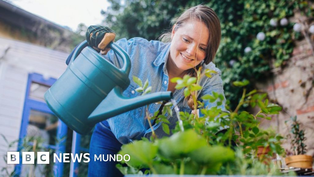 5 consejos de un botánico para mantener con vida a las plantas de tu casa