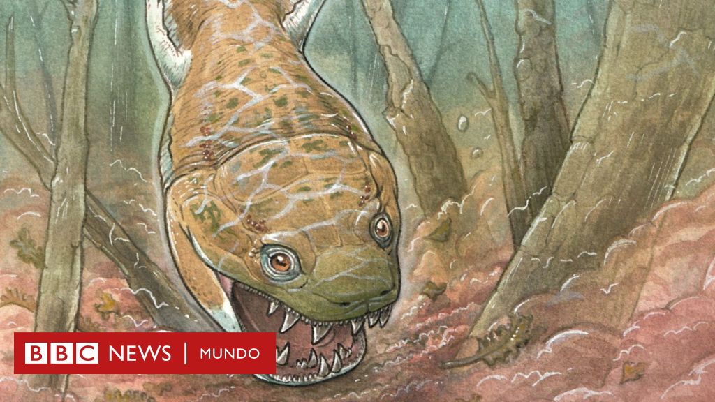 'Hellish Salamander': Discovery of the Giant Animal That Ruled the Earth Before the Dinosaurs