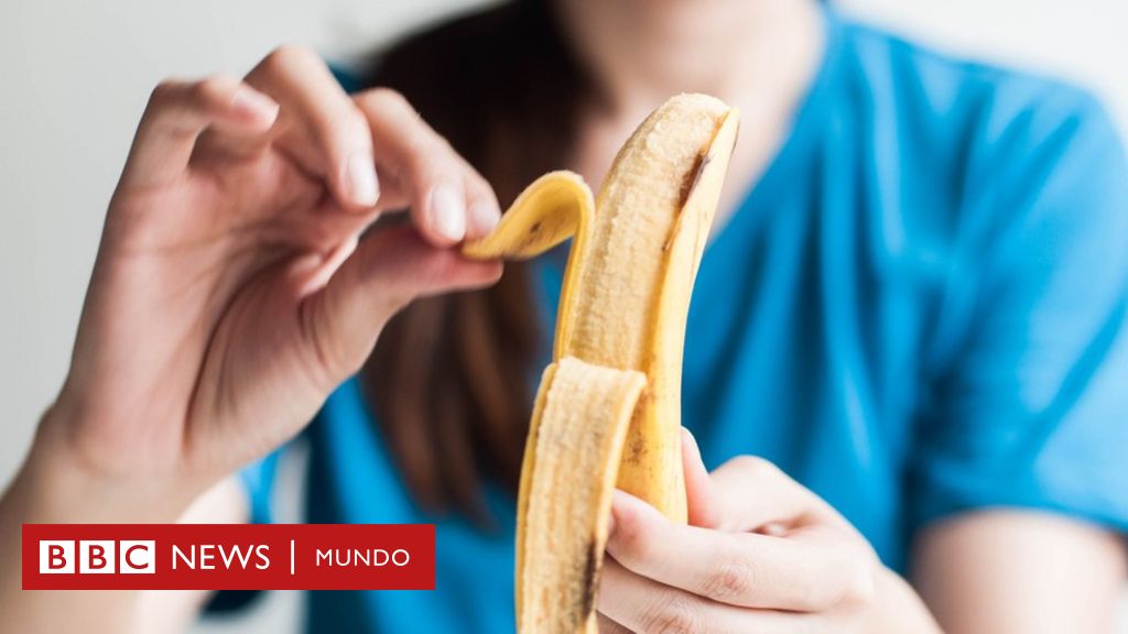 “El problema es que todos a nivel global comemos un solo tipo de banana aunque hay 2.000 variedades"