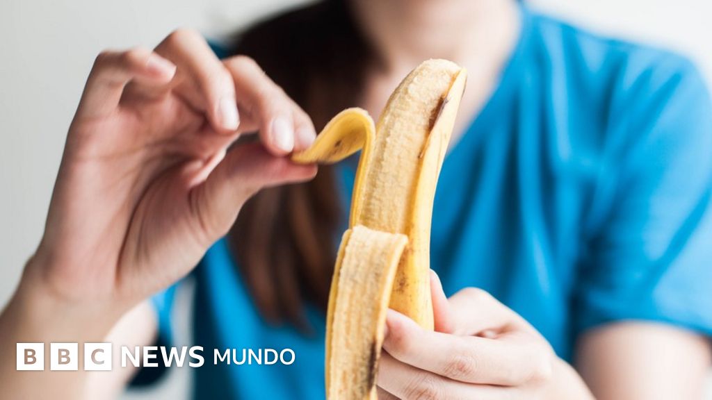 “El problema es que todos a nivel global comemos un solo tipo de banana aunque hay 2.000 variedades"