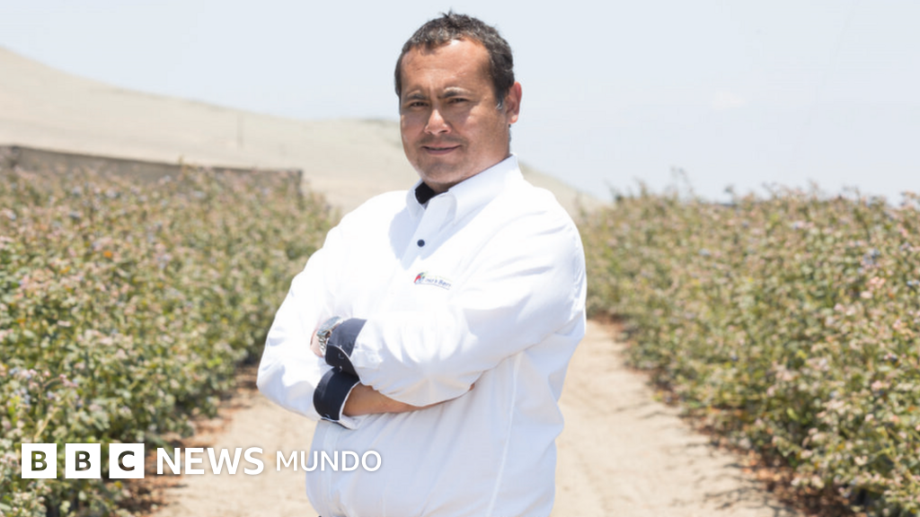 El hombre que convirtió a Perú en el mayor exportador de una fruta que apenas existía en el país