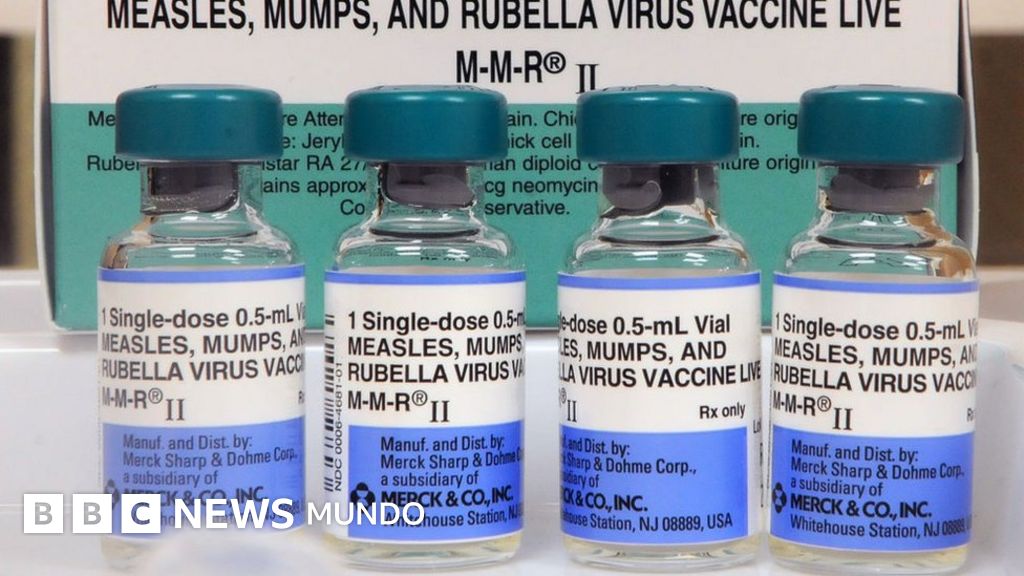 que significa rubella virus que significa rubella virus