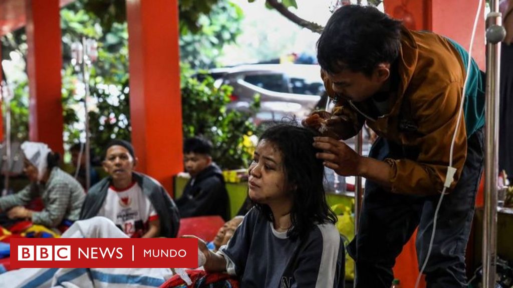 Terremoto en Indonesia: sube el número de muertos a 268 y hay decenas de desaparecidos