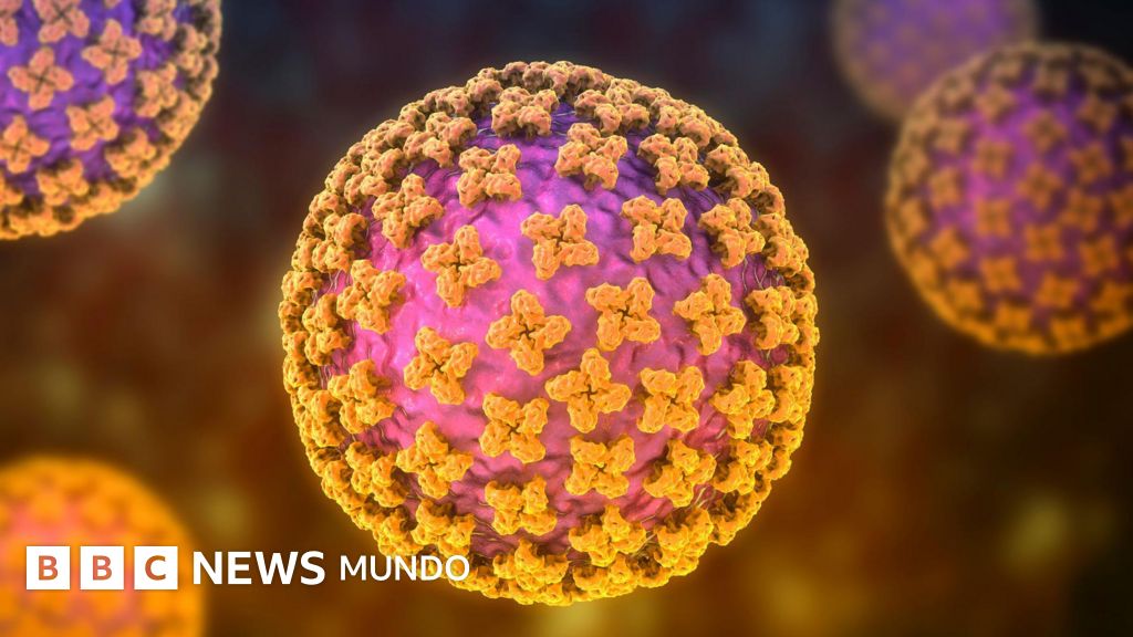 Tres muertos por hantavirus en un crucero polar: la OMS investiga el brote entre Ushuaia y Cabo Verde — image 1