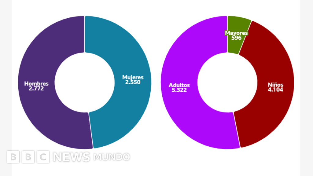 Los gráficos que muestran las cifras récord de muertes y devastación que dejó el primer mes de la guerra entre Israel y Hamás