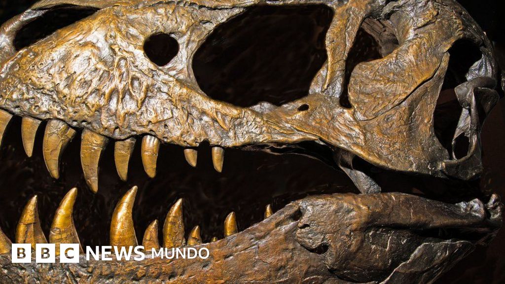 101+ Gambar Alam Dinosaurus Paling Bagus 101+ Gambar Alam Dinosaurus Paling Bagus