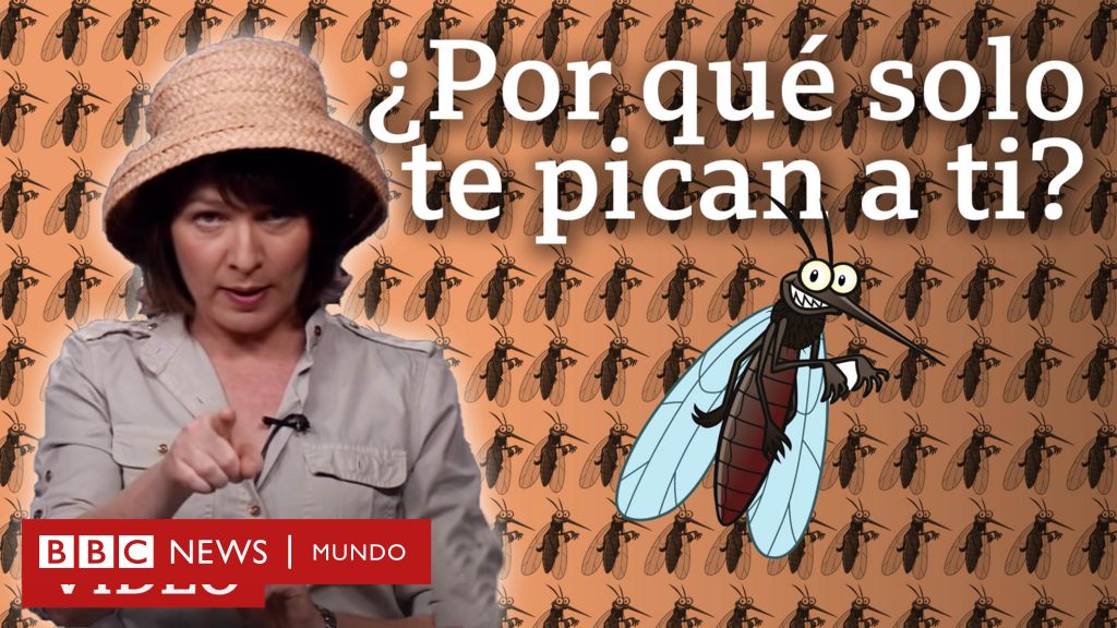 ¿Por qué los mosquitos te pican a ti (y no a los demás)?