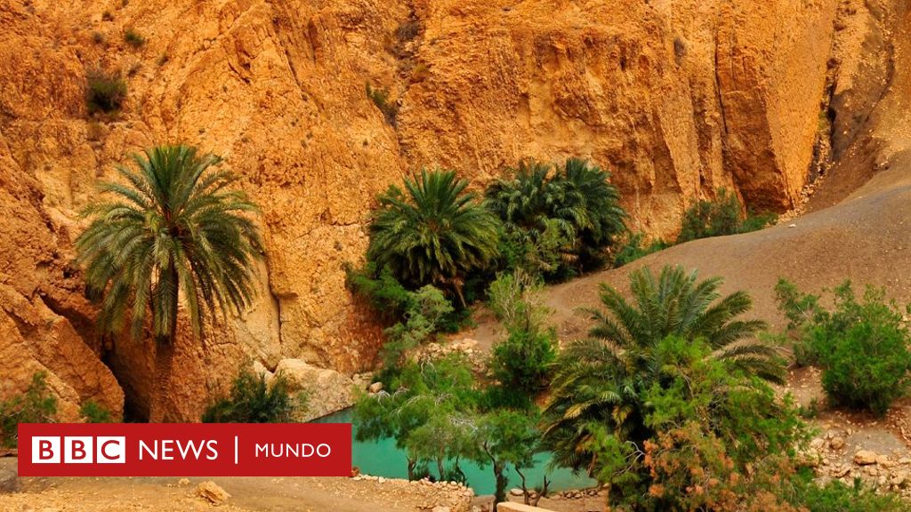 5 de los oasis más excepcionales del mundo (y cuál se encuentra en América Latina)