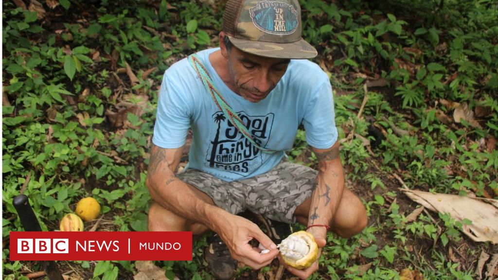 El surfista argentino que creó un paraíso ecológico en una isla de Panamá