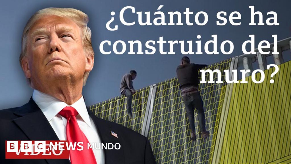 Ha Mejorado La Economia Con Trump