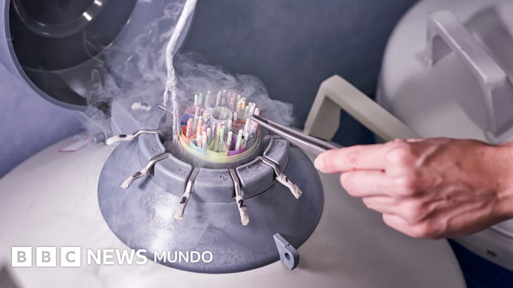 Prohíben seguir donando esperma a un neerlandés que habría engendrado más de 550 niños