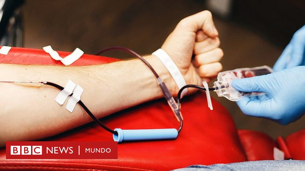 Las reglas (y los mitos) sobre donar sangre - BBC News Mundo