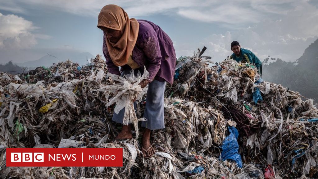 Cómo algunos países se convirtieron en el basurero del mundo y qué  soluciones hay para para cambiarlo - BBC News Mundo