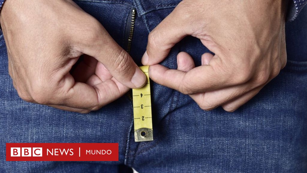 ¿por Qué Los Hombres Son Los Primates Con El Pene Más Grande Bbc